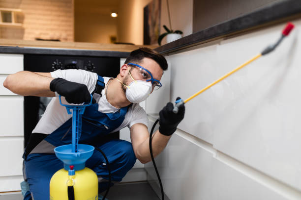 Best Pest Removal Services  in Woodville, MS