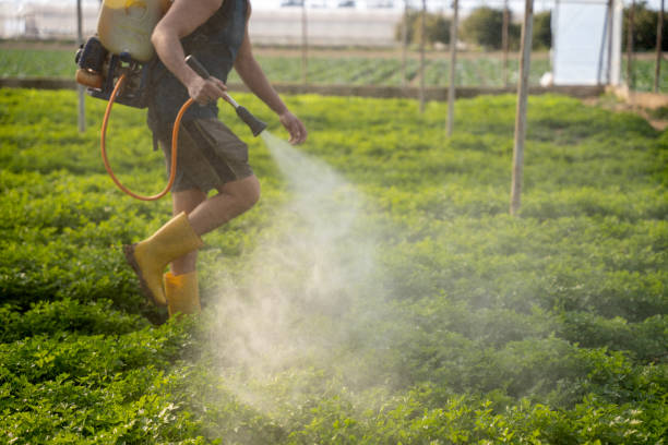 Best Mosquito Control Services  in Woodville, MS