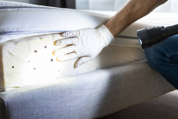 Best Pest Control Near Me in Woodville, MS