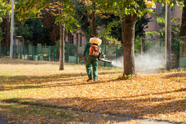 Best Wildlife Control Services  in Woodville, MS