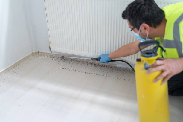 Best Ant Control Services  in Woodville, MS