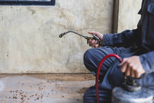 Best Pest Inspection Near Me  in Woodville, MS